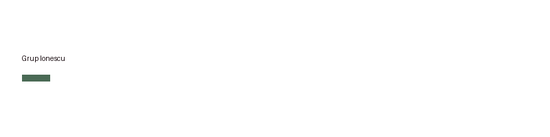 Grup Ionescu logo